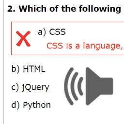 JavaScript Obnxious Quiz